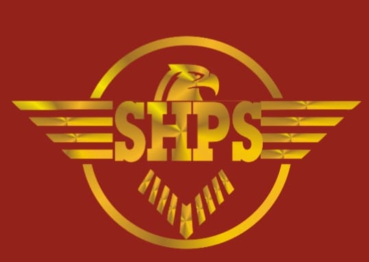 Safe Hold Protection Services logo